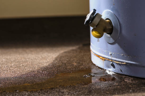 Best Water damage contractors near me  in Sleepy Hollow, WY