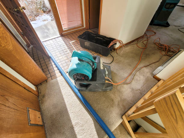 Best Flood damage cleanup  in Sleepy Hollow, WY