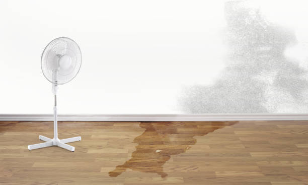 Best Ceiling water damage repair  in Sleepy Hollow, WY