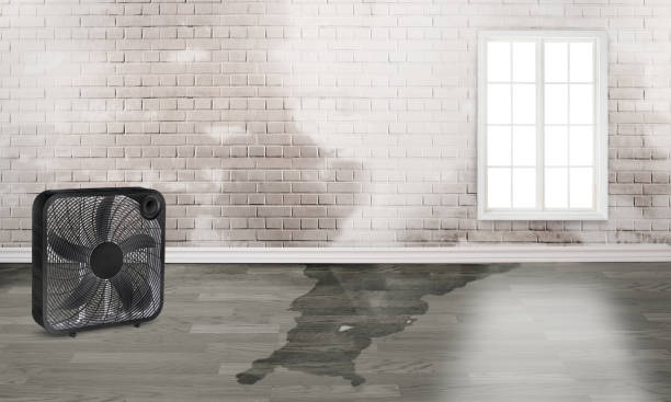 Best Emergency water damage restoration  in Sleepy Hollow, WY