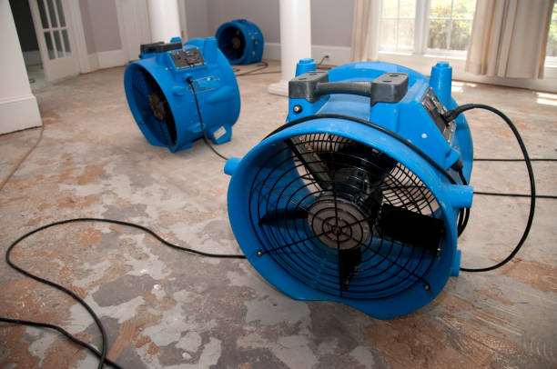 Best Mold removal after water damage  in Sleepy Hollow, WY