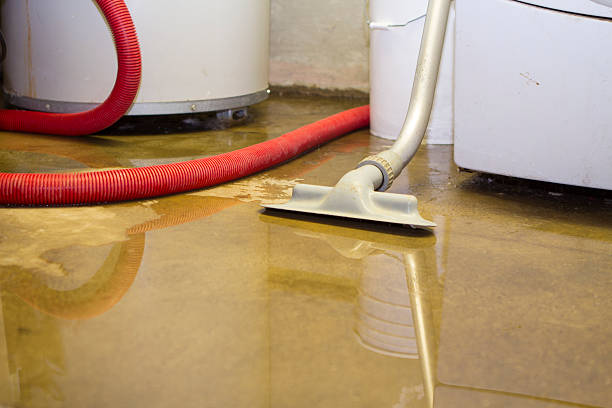 Carpet water damage restoration in WY