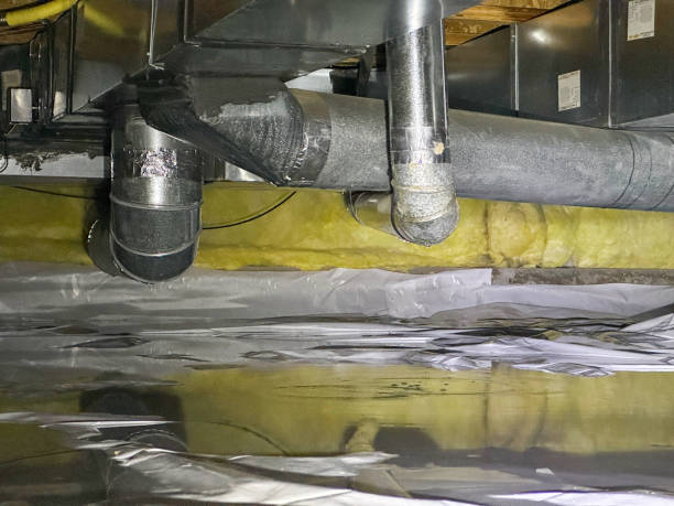Best Water damage cleanup near me  in Sleepy Hollow, WY